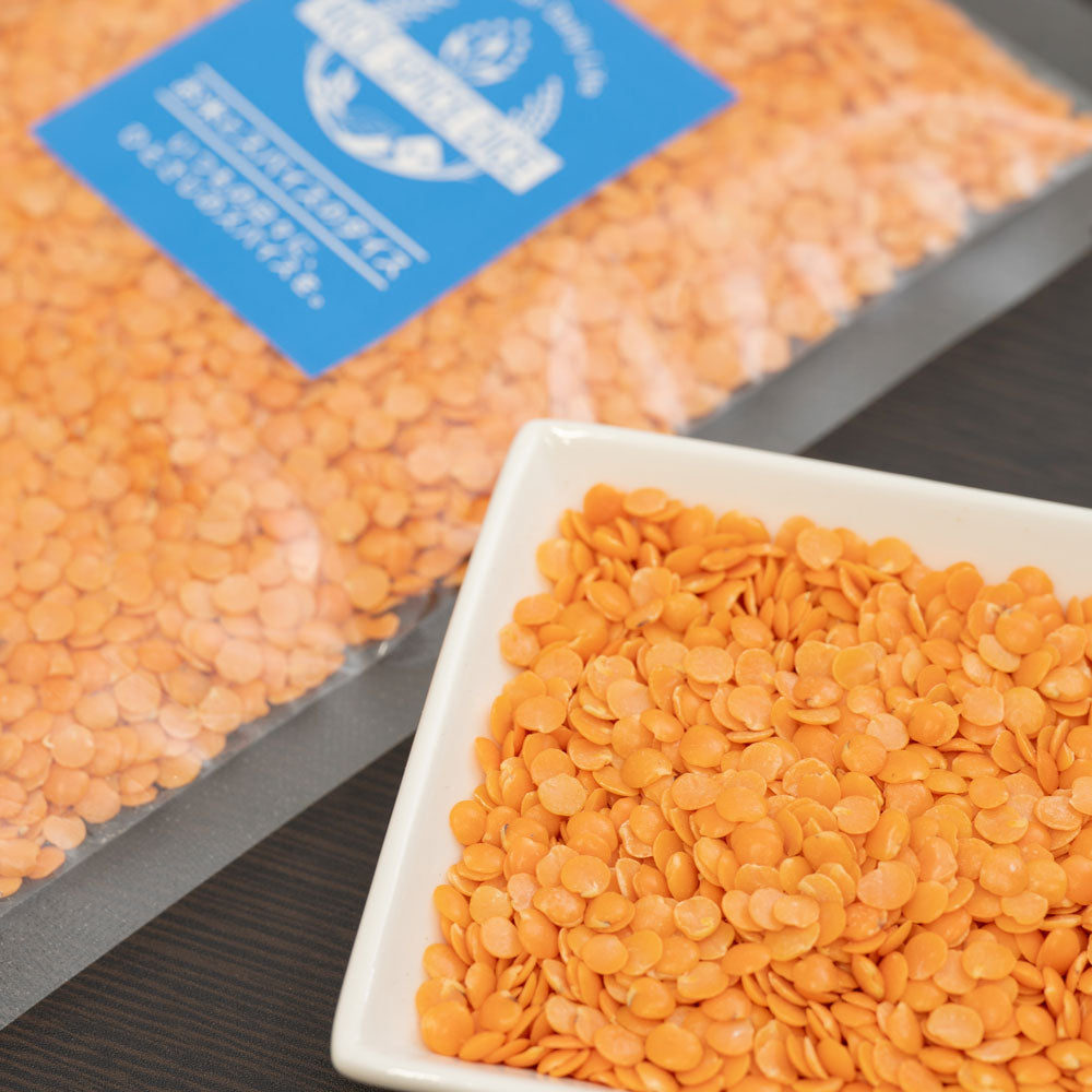 レンズ豆 皮なし ひき割り900g RED MASOOR DAL 乾燥豆 マスールダール お米とスパイスとダイスR0064W900