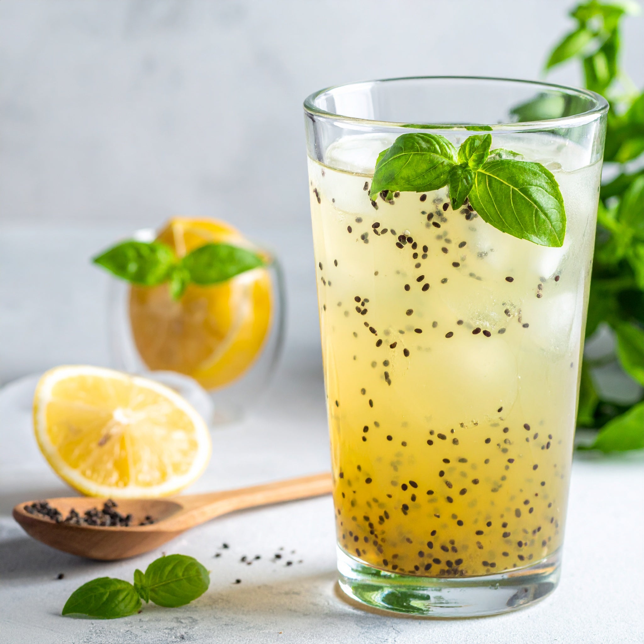 スイートバジルシード100g SWEET BASIL SEEDスパイス 香辛料 お米とスパイスとダイスR0044W100